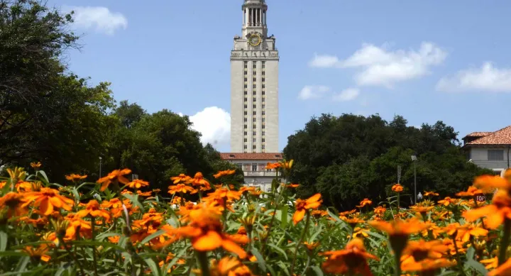 The UT Tower, with orange flowers in the foreground