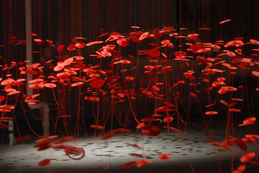 artwork by Beili Liu