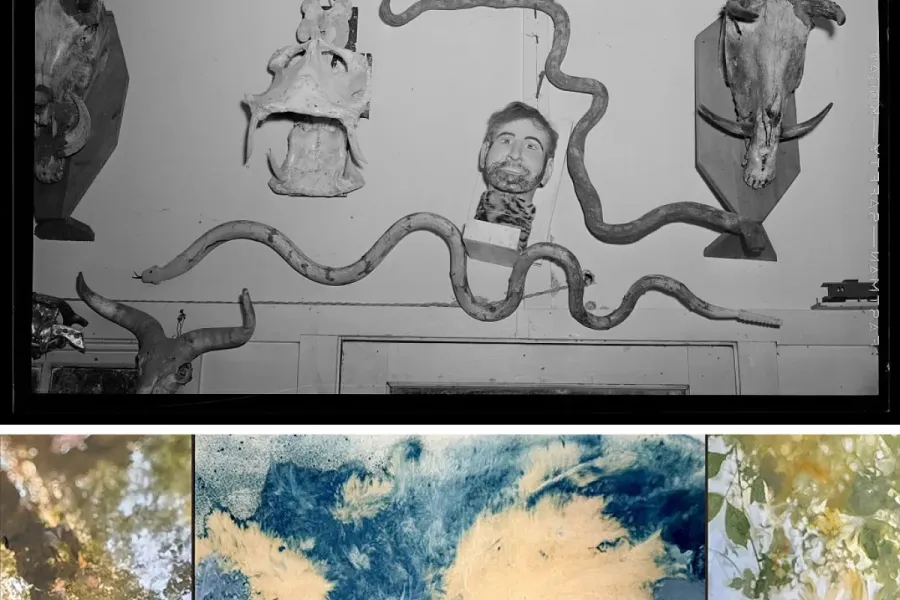 montage of photograph by Russell Lee of Homer Tate's studio and painting by Heather Bird Harris