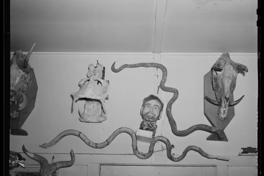 Russell Lee's photograph of Homer Tate's studio showing various oddities and gaffs on the wall