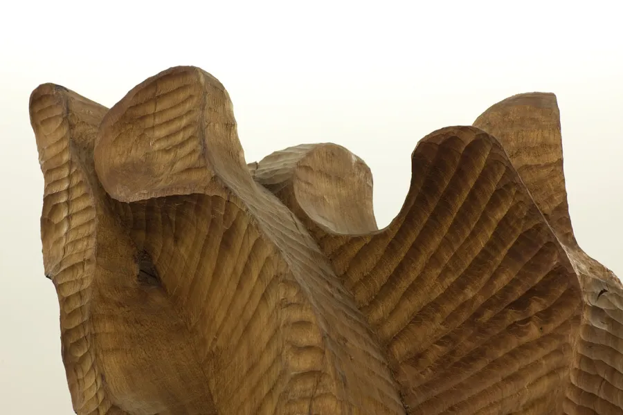 detail view of Hans Hokkason's "source" 